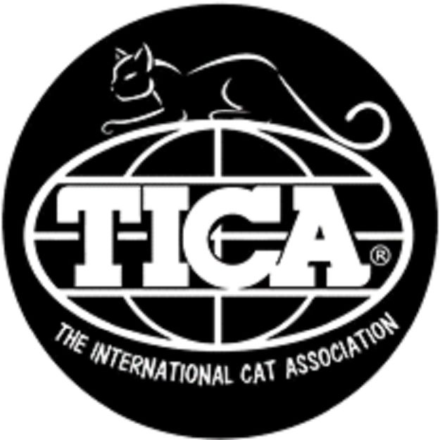 Logo TICA
